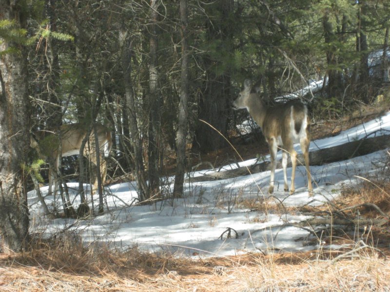 montana_0048.jpg