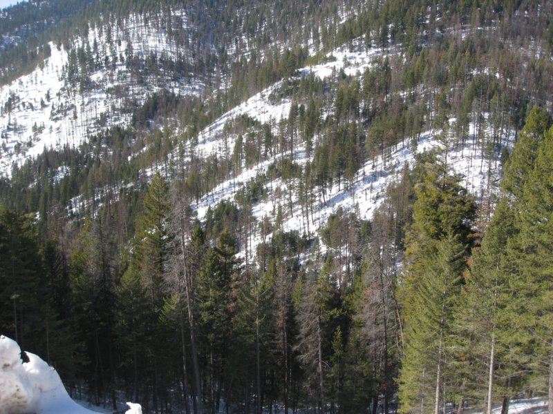 montana_0064.jpg