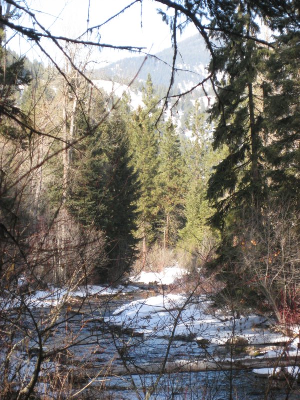 montana_0080.jpg