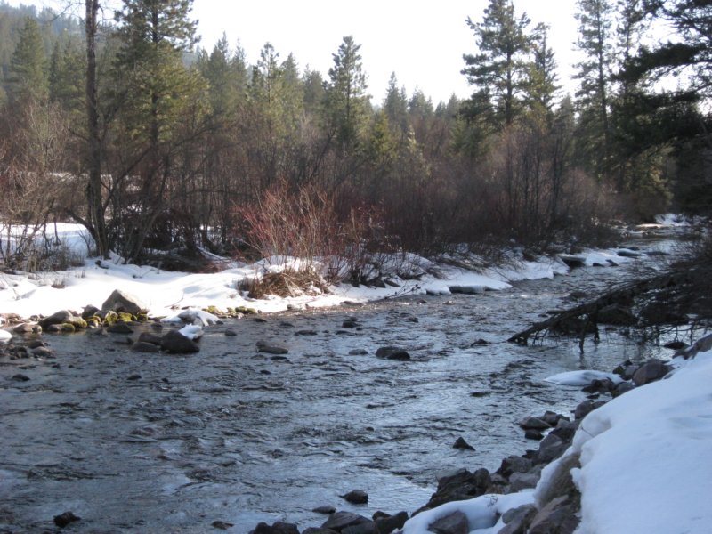 montana_0082.jpg