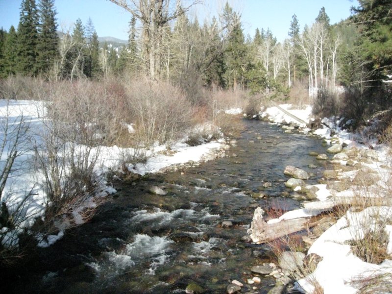 montana_0095.jpg